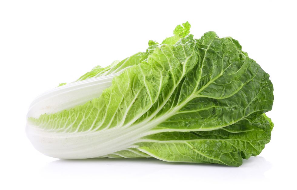 fresh chinese cabbage on a white background