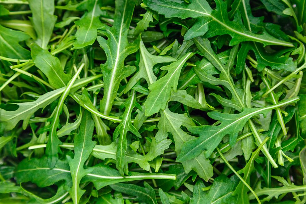 A large pile of arugula
