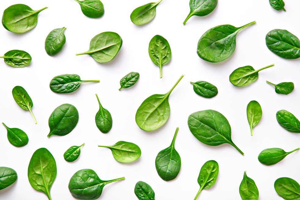 Leaves of baby fresh spinach laid out on a white background