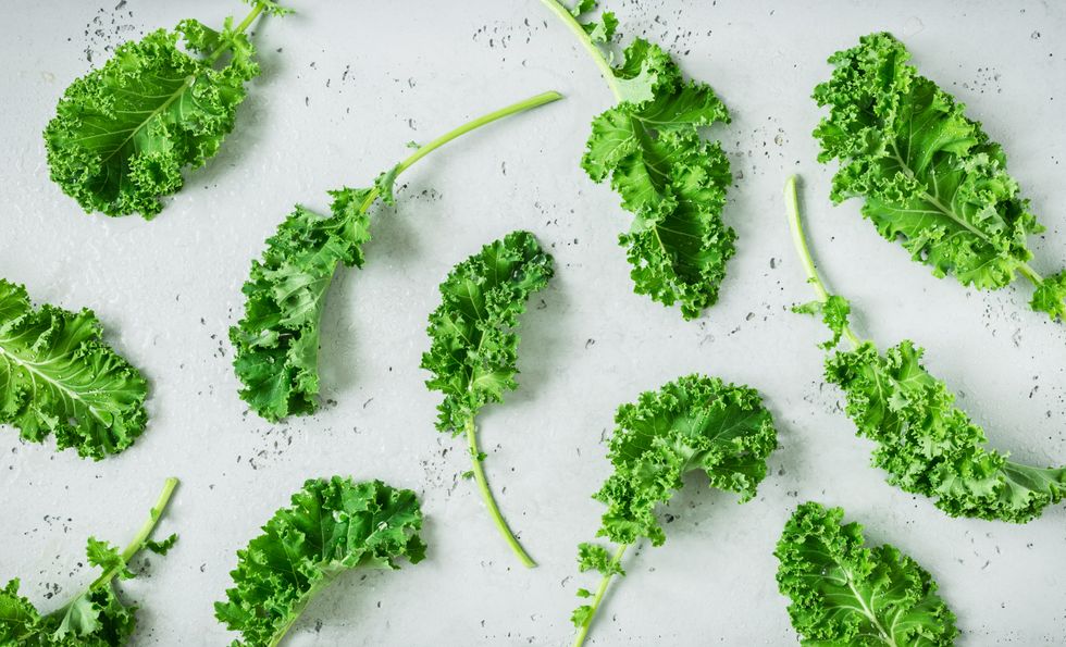Fresh wet green kale leaves on grey background