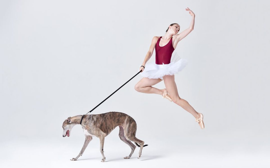 Biscuit Ballerina Teamed Up With Dancers & Dogs for the Greatest Photo Shoot of All Time