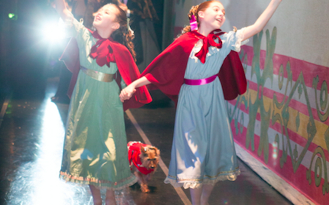 Your Dog Could Become This Company's Next Big "Nutcracker" Star