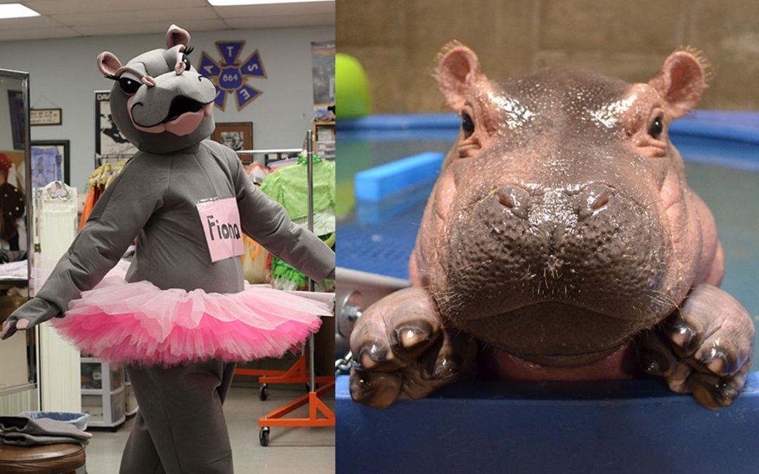 World Famous Hippo, Fiona, to Join the Cast of Cincinnati Ballet's "Nutcracker"
