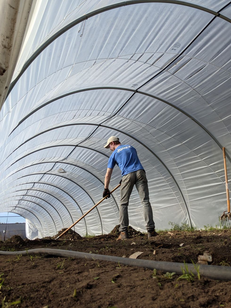 Ben Youngstone tills the soil with a hoe under a large, enclosed greenhouse. He is shown from the back and wears a blue T-shirt, green jeans, boots and a white baseball cap.
