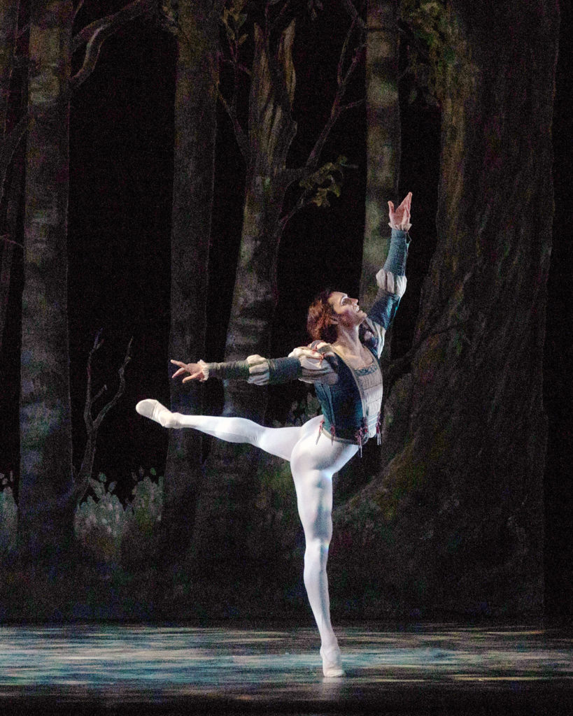 During a performance of Swan Lake, Daniel Camargo poses in a croisé arabesque on demi-pointe with his left amr up and his right arm out to the side. He wears white tights and ballet slippers, and a blue velvet prince's jacket with white trim. He looks up, posing towards stage left. Behind him is a backdrop of forest trees.