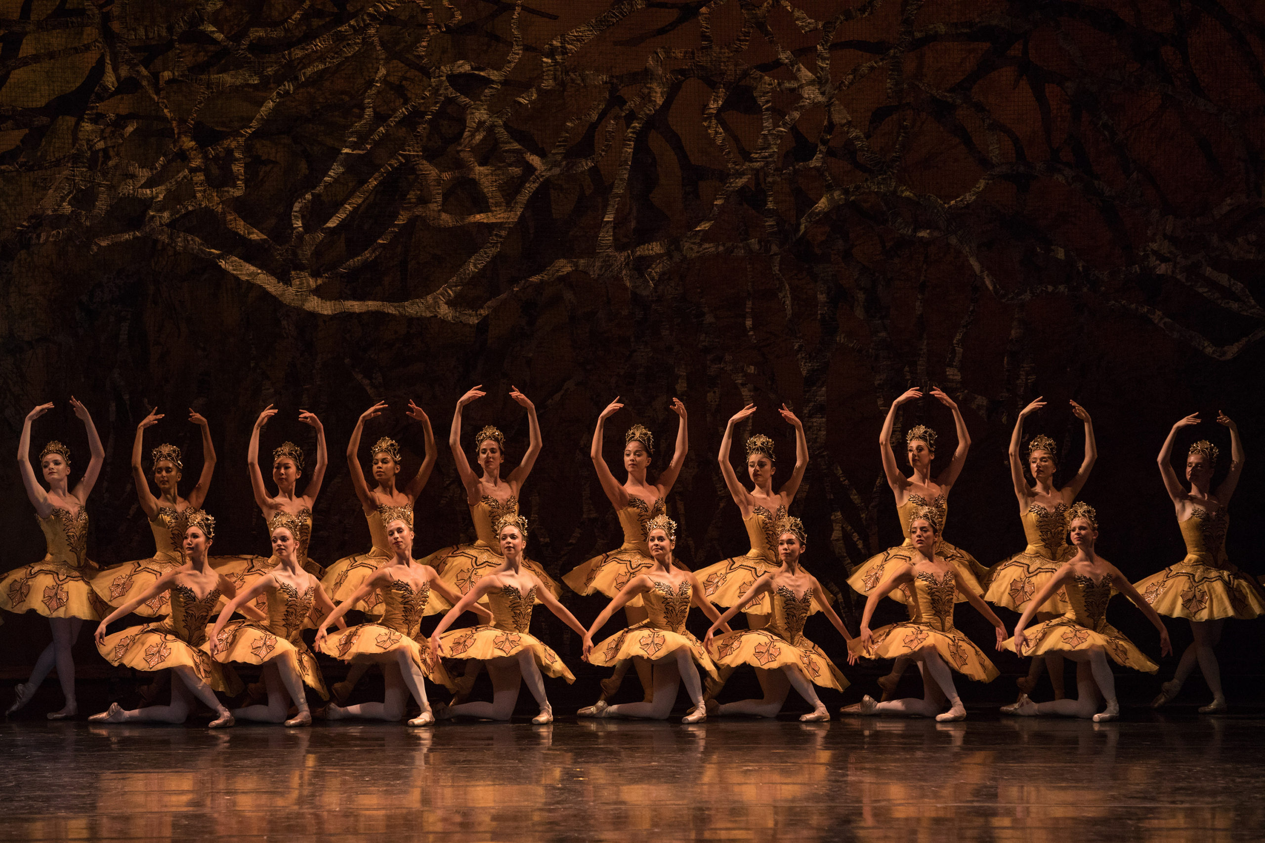 Two lines of corps de ballet dancers pose in front of a backdrop upstage. The back line stands on their right foot with their left foot in B plus and hold their arms in high fifth position. The front line kneels on their left knee with their arms in demi-second. They all wear gold classical tutus and elaborate tiaras, pink tights and pointe shoes.