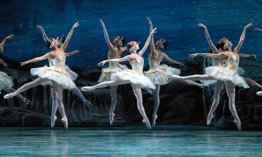 Two lines of corps de ballet dancers are shown performing Swan Lake onstage in swan costumes of short white tutus, feathered headpieces and pink tights and pointe shoes. The dancers do temps levé on their left leg in first arabesque, with the front line facing the wings on stage left and the back line facing the wings on stage right.