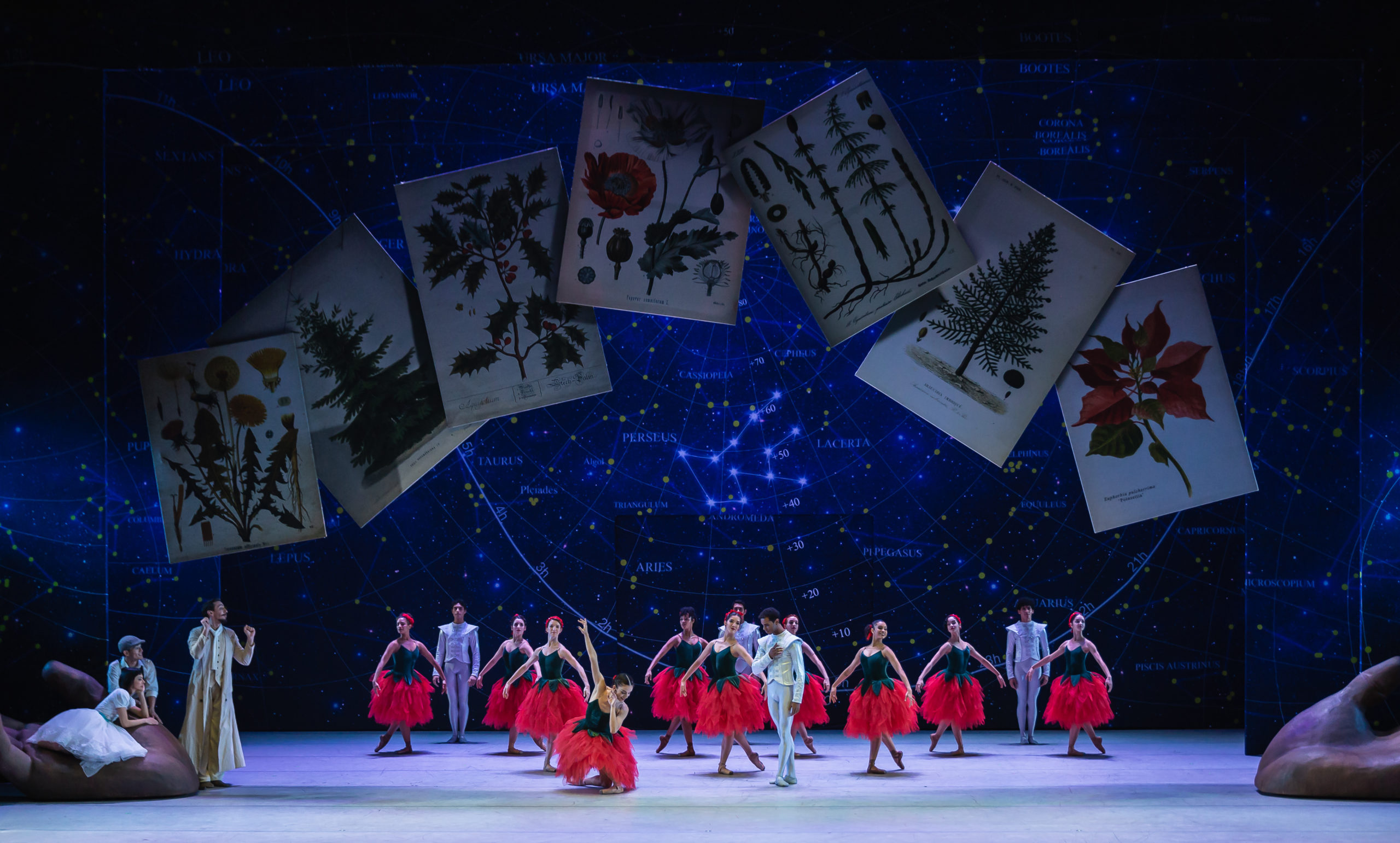 Onstage, a group of dancers dressed in rose-themes romantic tutus, princely costumes and white dresses adorn a stunningly decorated scene. The dancers pose in B plus or rest in various caricatured positions in front of a galaxy-themed backdrop with large prints of holiday-themed plants hanging in front.