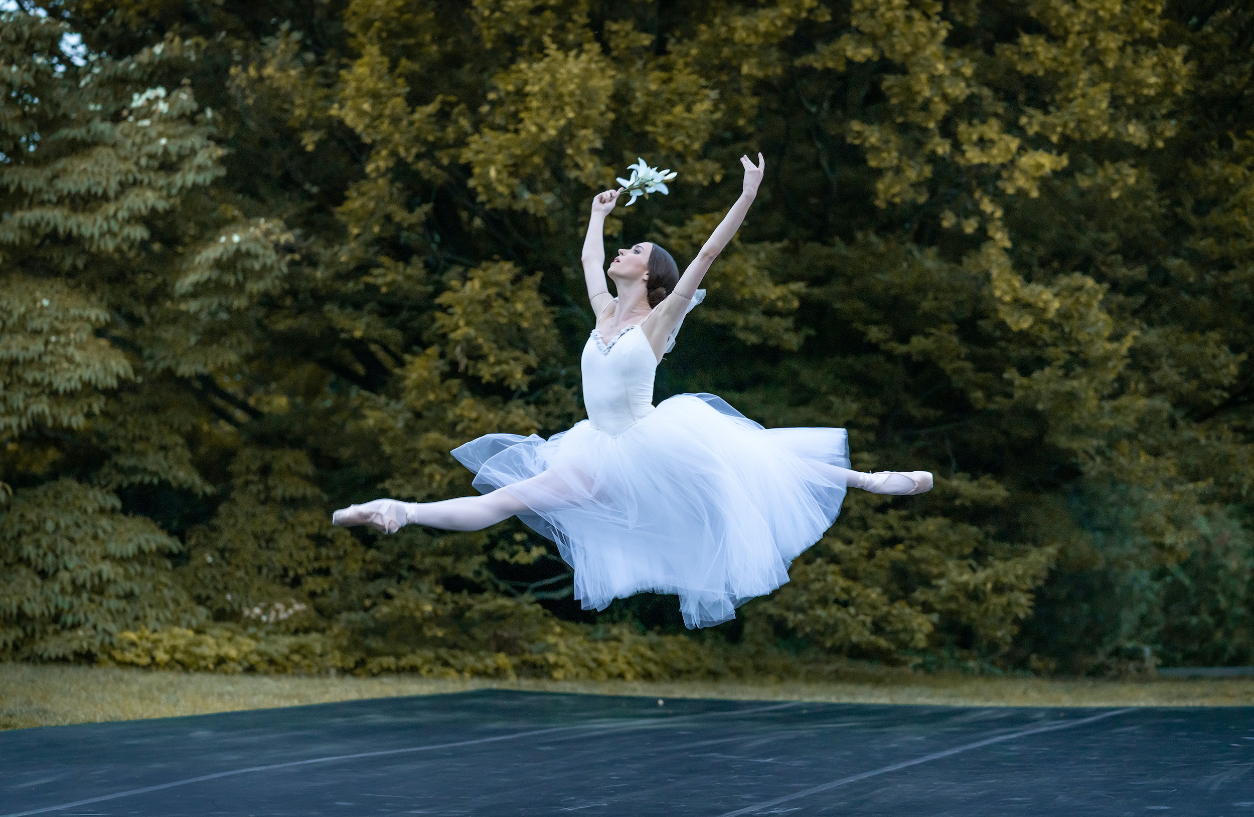 During an outdoor performance at dusk, Skylar Brandt does a giant saut de chat with her arms opening out of high fifth position. She holds a white lily in her upstage hand and looks toward the sky forlornly. She wears a long, white Romantic-style tutu, pink tights and pointe shoes. She dances on a dark marley stage floor, and in front of green evergreen trees.