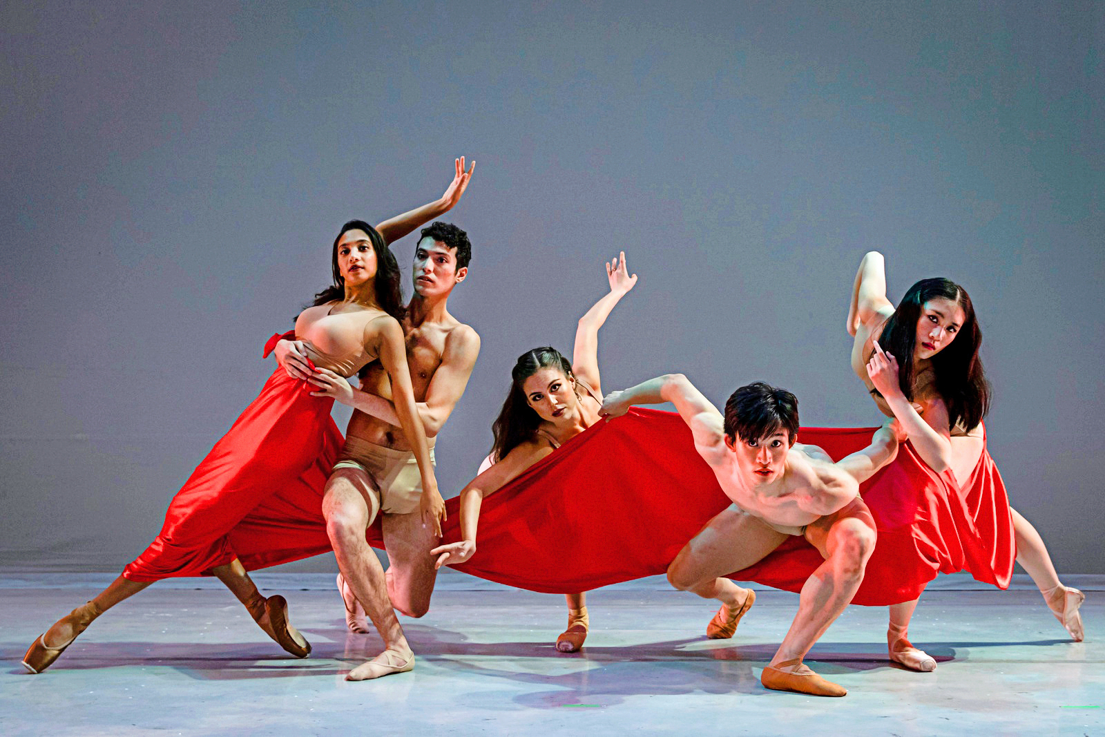 In front of a gray backdrop, a group of five dancers (3 female, 2 male) pose together in a contemporary tableau. They wear nude-colored garments, with the women in long red skirts.