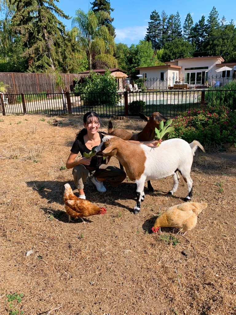 Jasmine Jimison kneels down in her backyard and feeds her pet brown-and-white goat a leafy plant with her right hand. Another brown goat stands behind them, munching on the plant in her left hand. Two chickens peck the ground in front of them.