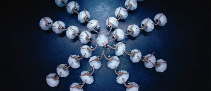 An overhead shot of a corps de ballet of swans, creating a formation of eight spokes surrounding a single dancer, Odette, in the middle. Each spoke includes four dancers. Odette kneels on one leg and extends the other to the front, bending over with her arms draped overhead. The corps dancers stand in a tendu derriere lunge, with one arm extended forward and one backward.