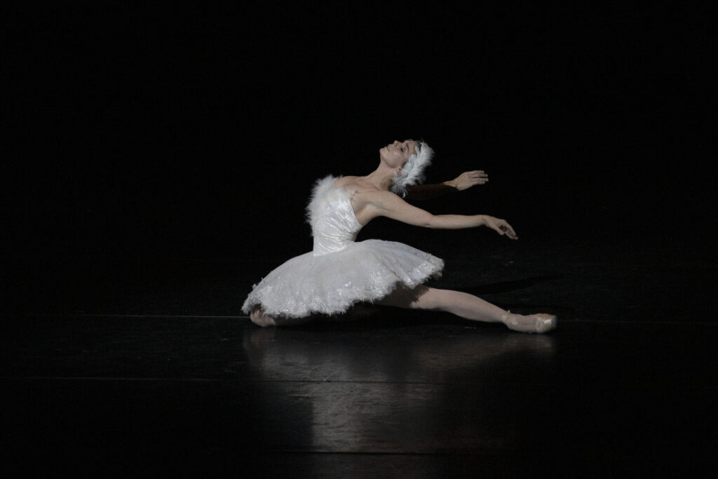 Natalia Osipova in “The Dying Swan.” Osipova, in a white tutu, arches back with her right leg extended behind her on the floor.