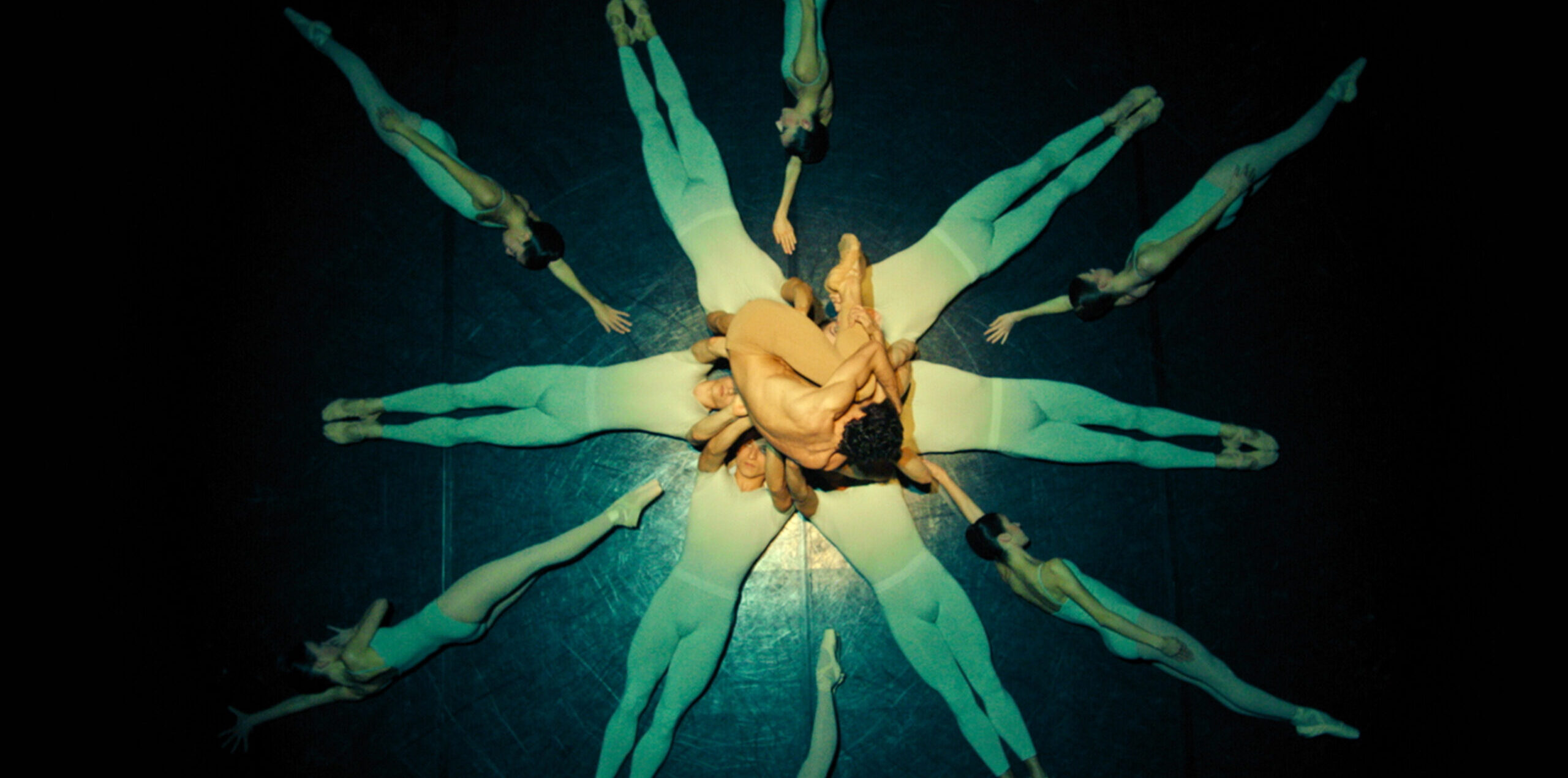 With the camera above, facing the floor, six dancers in white unitards lie on their backs in a circle, heads together, as they bend their arms up to support one man who is curled into a ball in the middle. He wears nude-colored tights. In the blank spaces of the six dancers, six other dancers in pointe shoes, white leotards, and tights lie on their sides with one arm raised to made additional spokes.