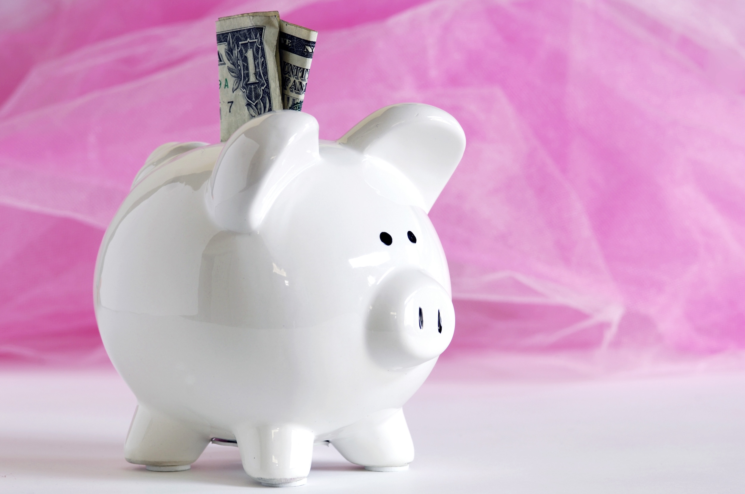 A white piggy bank with U.S. currency sticking out from the top is shown in front of a swath of pink tulle.
