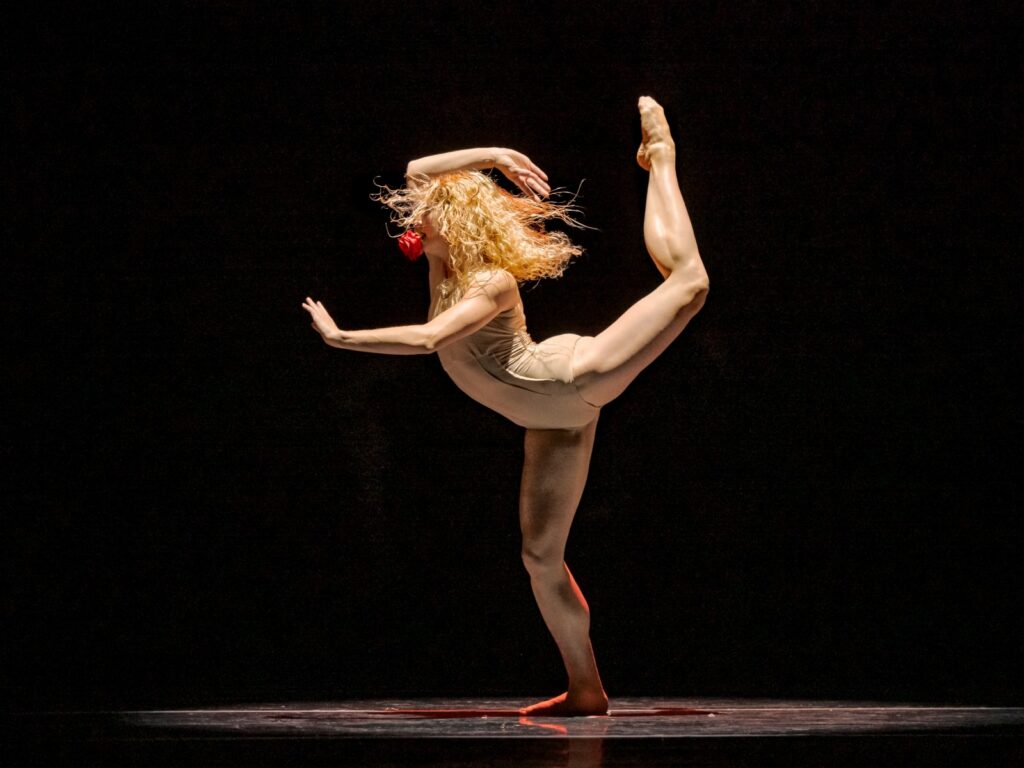 Tessa Barbour, in a nude leotard, poses in profile with her supporting leg bent and her working leg thrown back into a high parallel attitude. She pushes one arm forward while throwing the other, bent, backward. Her curly blonde hair flies around her face, and she holds a red prop rose in her mouth.