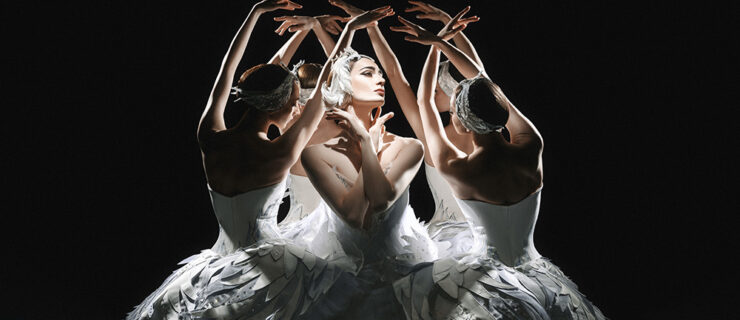 Lit overhead by a single spotlight against a pitch black background, a circle of ballet dancers dressed as swans surround one principal, dressed as Odette. The corps dancers lean slightly inward with arms overhead, fingertips brushing in, with their backs facing out. In the middle, Odette turns her face and crosses her arms so her fingertips brush her neck on either side.