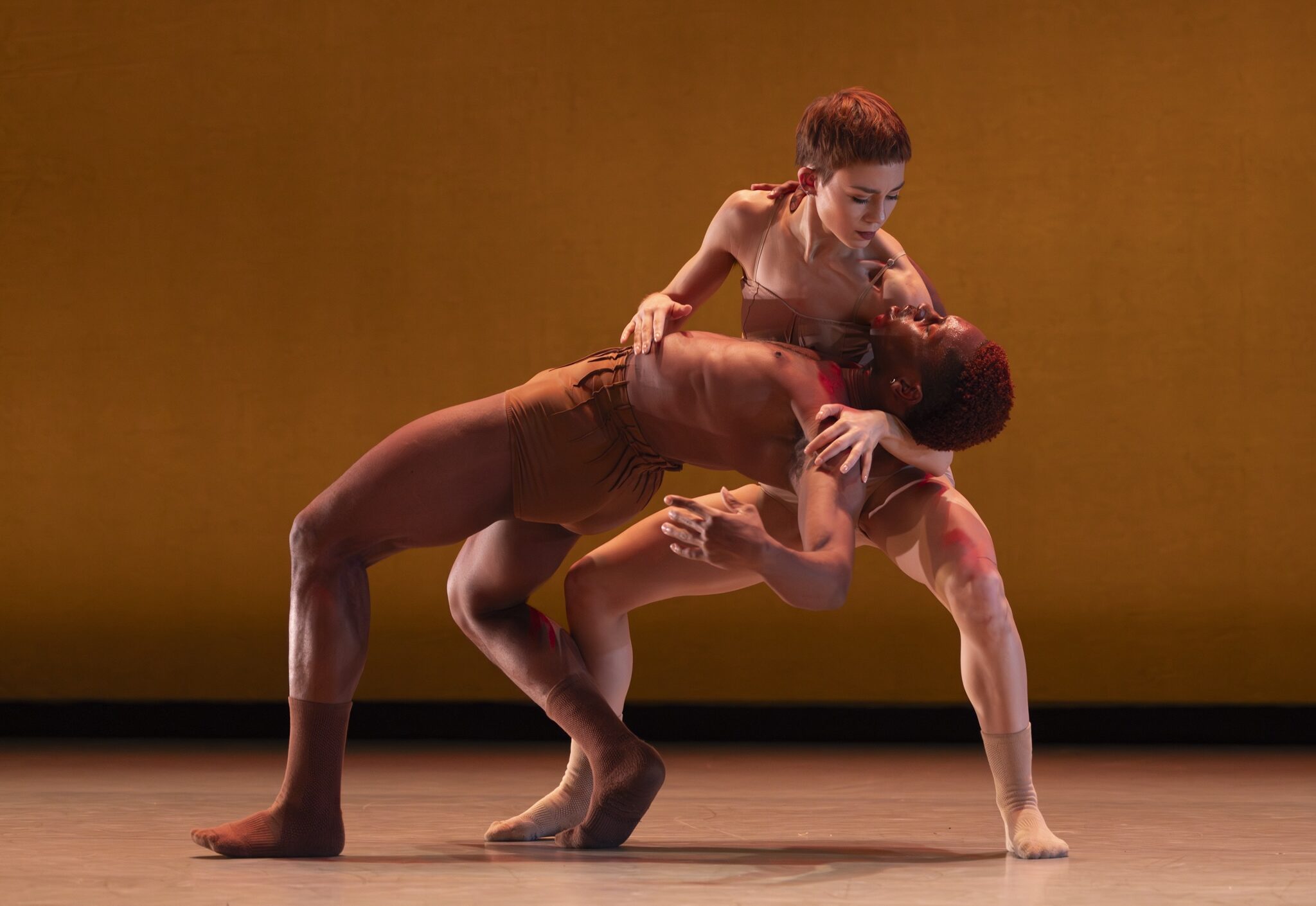Lanie Jackson crouches in second position and holds Jared Kelly as he leans back into her arms. The dancers look at each other. He wears brown trunks and socks, and she wears taupe trunks, socks and a corset-style top. They perform onstage in front of a mustard-colored backdrop.